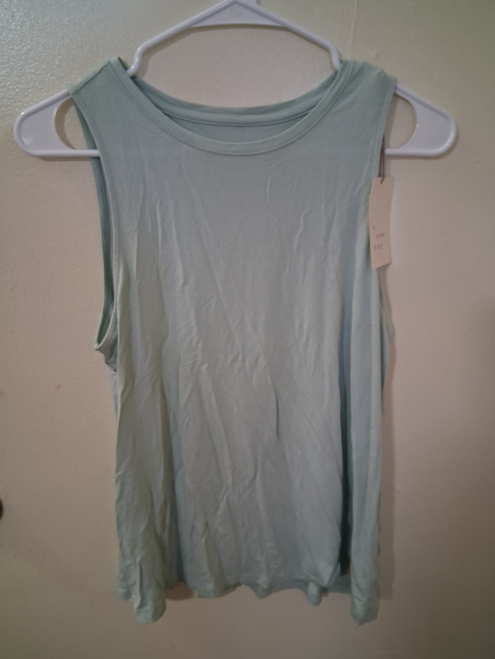 A New Day Sleeveless Tank Top in Mint Green